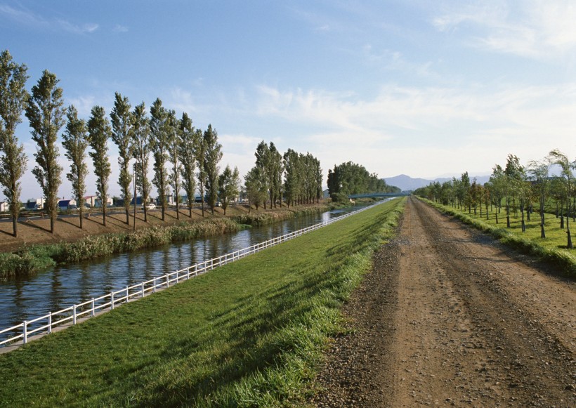 乡间小路