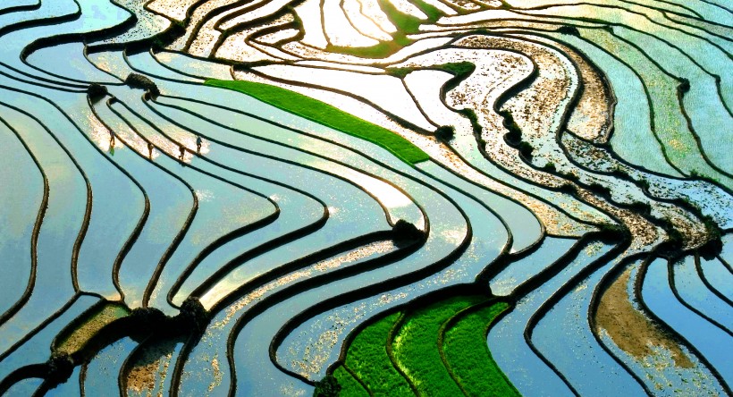 广阔唯美的梯田风景图片