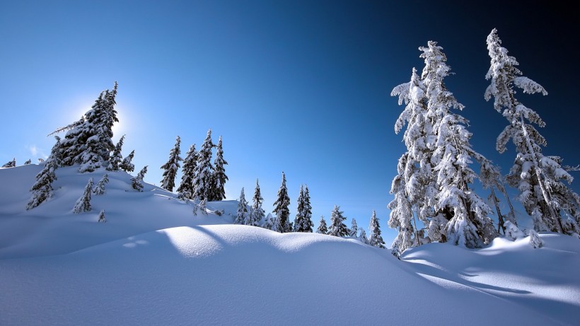 大雪紛飛的冬季美景圖片