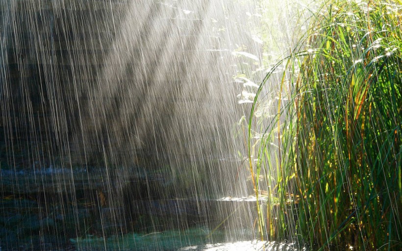 唯美的雨圖片