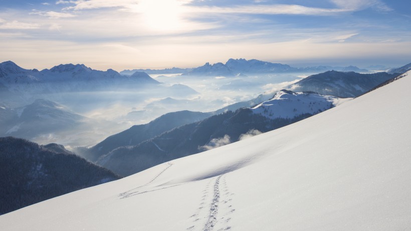 唯美的雪景图片