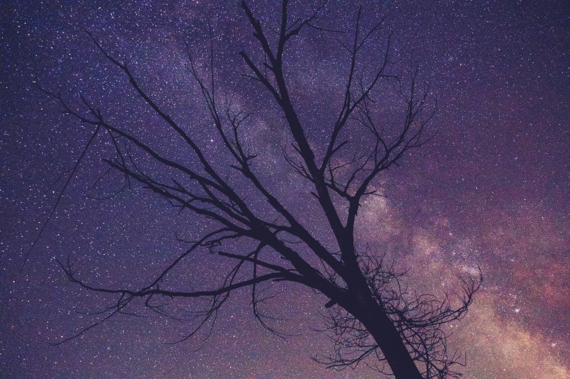 璀璨唯美的星空风景图片