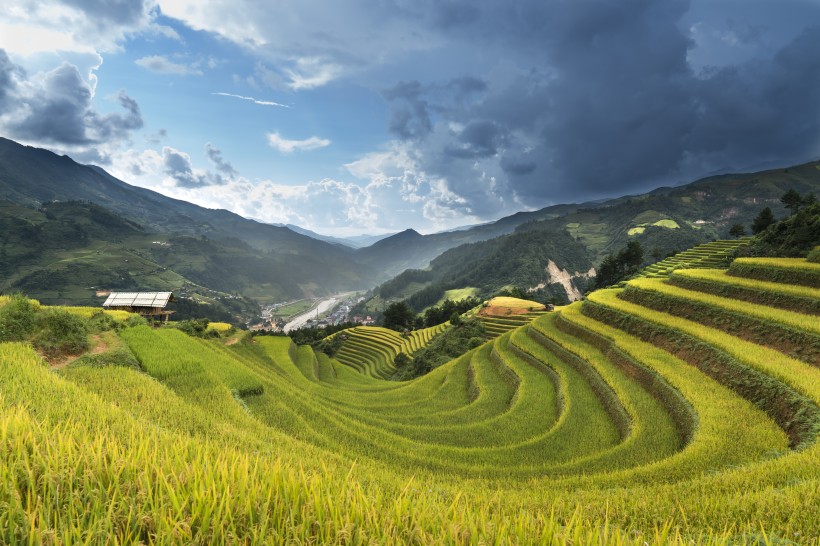 層疊的綠色梯田風(fēng)景圖片