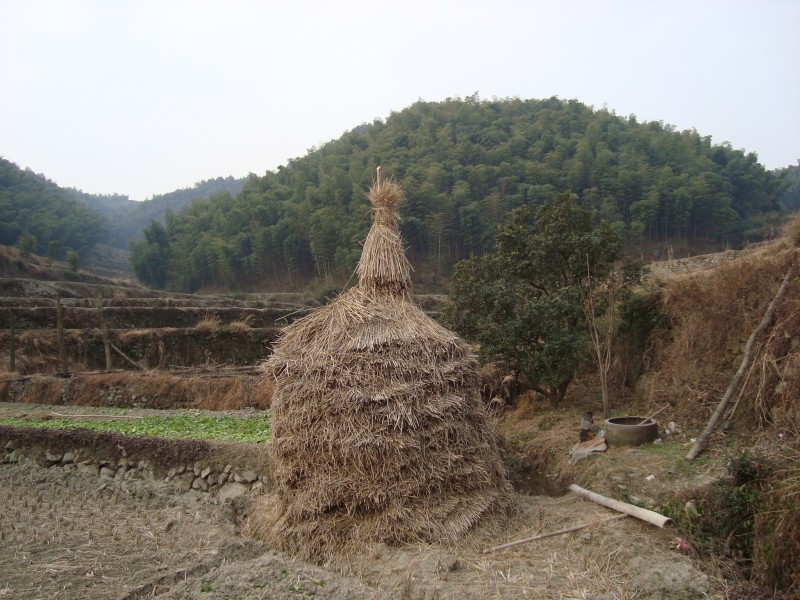 草垛子风光图片