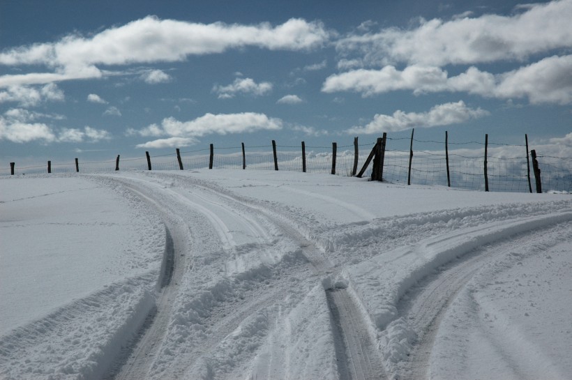 冬季的皑皑白雪风景图片