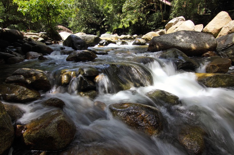 森林小溪山間流水圖片