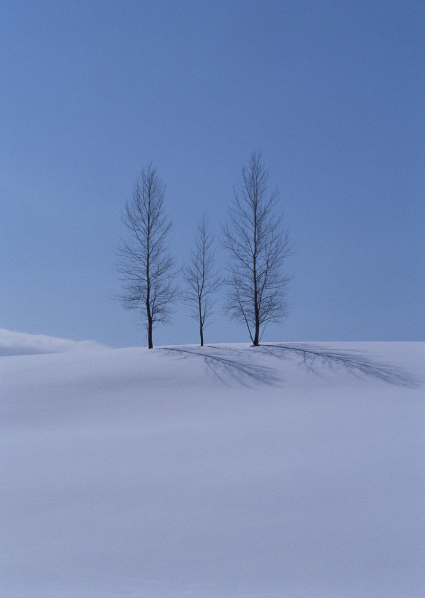 冬天的风景