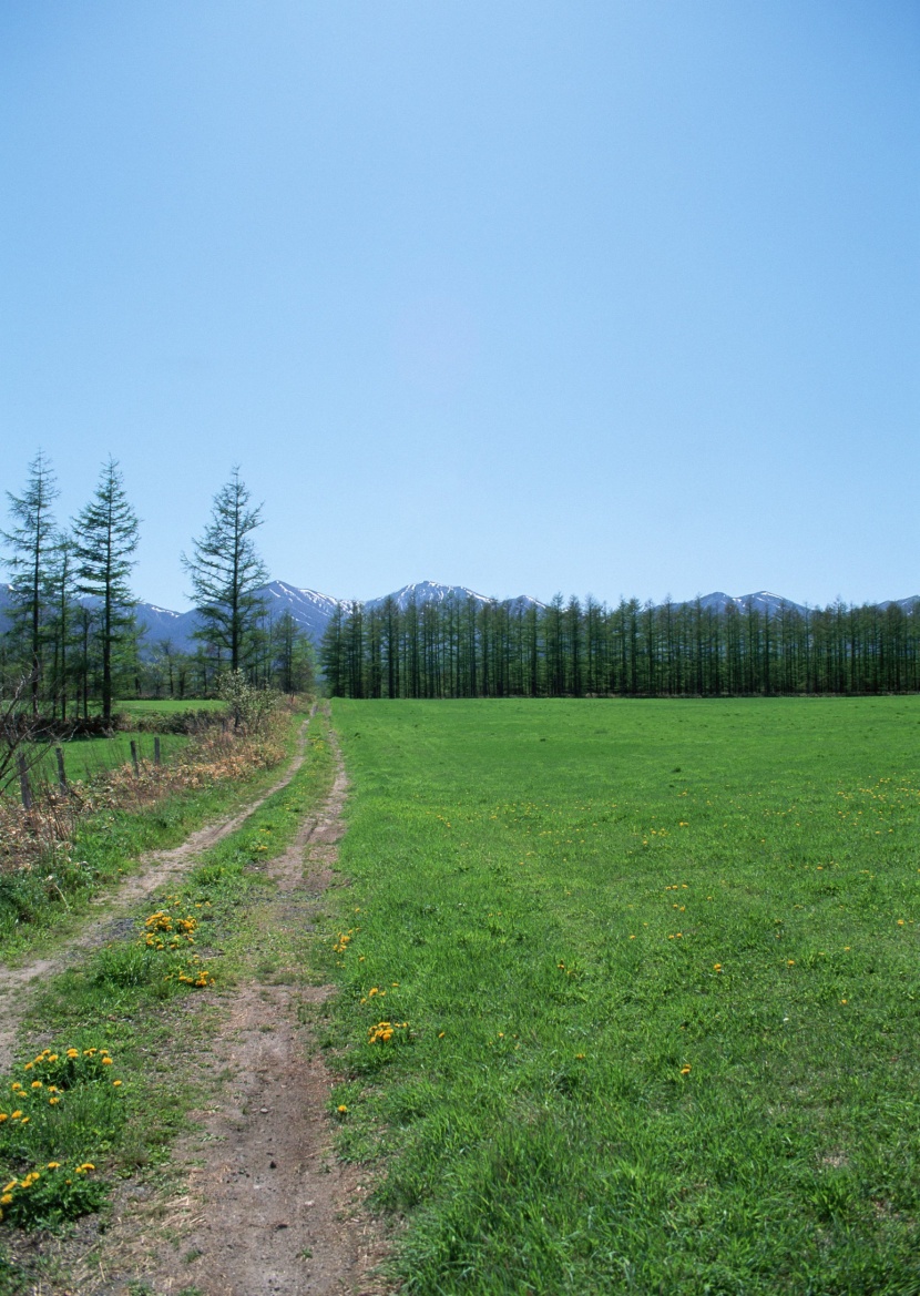 乡间小路