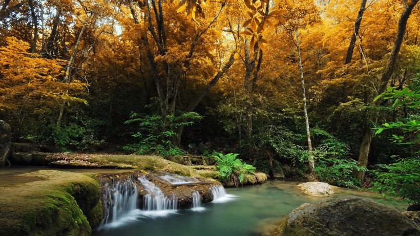 林间小瀑布风景图片