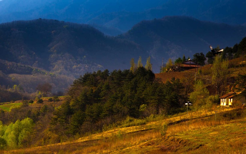 秦岭春天风景图片