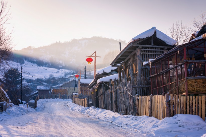 寒冷的冬季雪景圖片