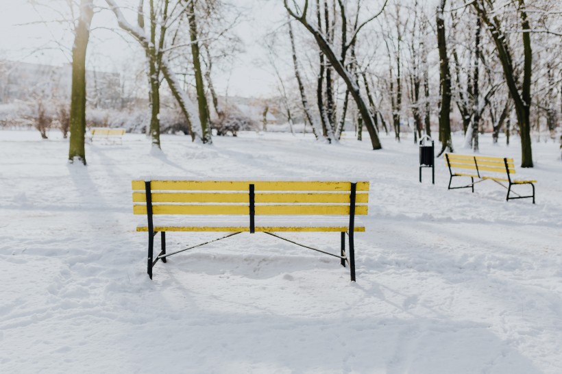 雪地里的公園圖片