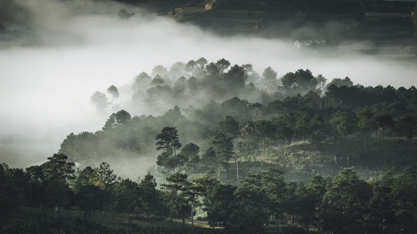 煙霧繚繞的山林圖片