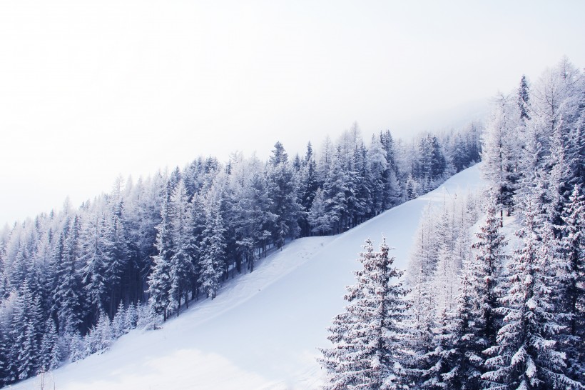 自然雪景風(fēng)景圖片