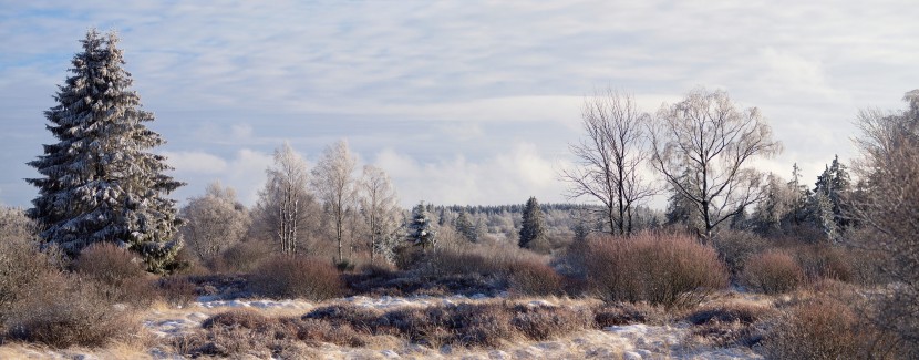 迷人唯美的雪景圖片