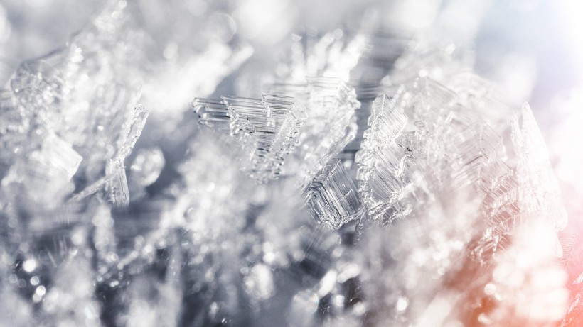 冬季雪后冰花風(fēng)景圖片