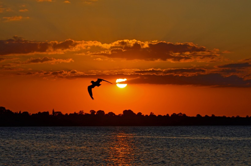 景色秀美的夕陽圖片