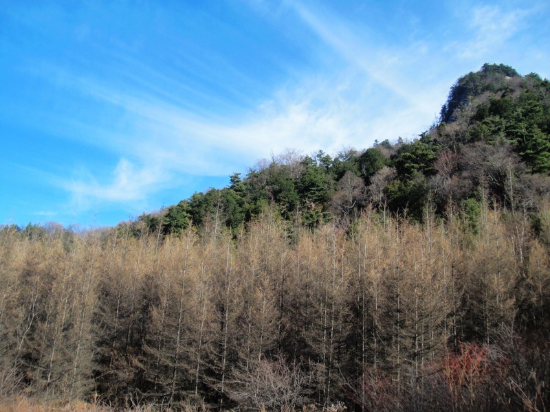 秦嶺風(fēng)景圖片