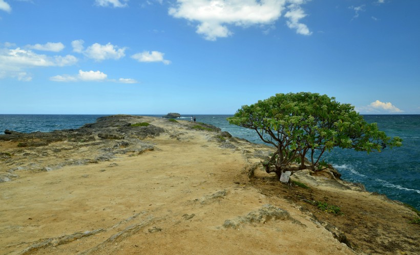 夏威夷海岸风景图片