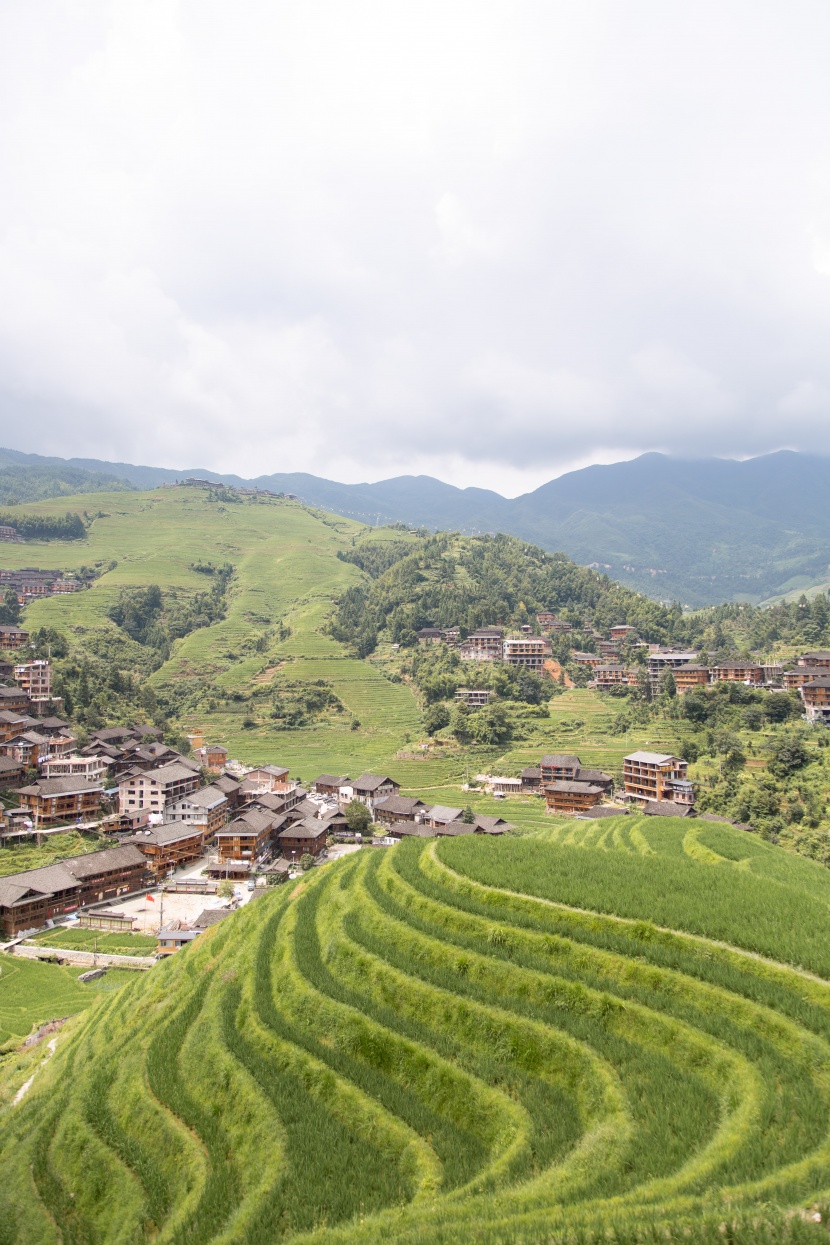 高低分明富有层次的梯田风景图片