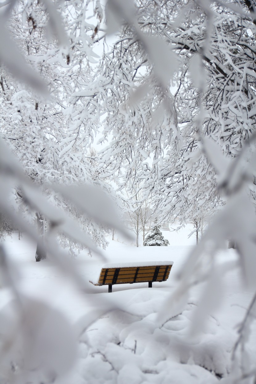 白雪皚皚的世界圖片