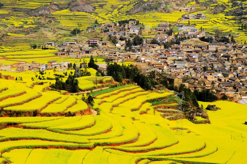 山村的田野风景图片