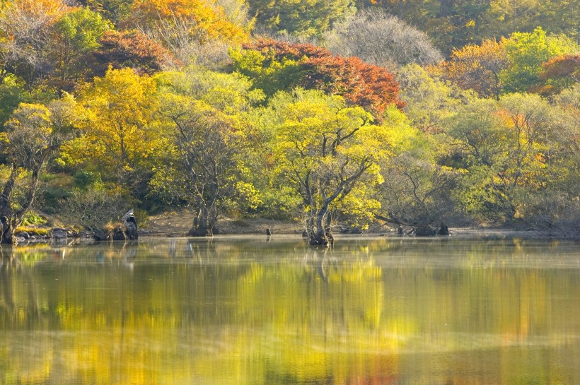 湖面倒影风景图片