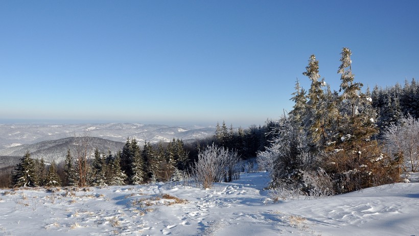 唯美冰雪风景图片