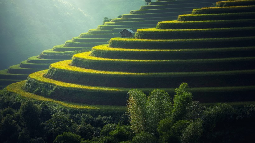 層層疊疊綠色的梯田風(fēng)景圖片