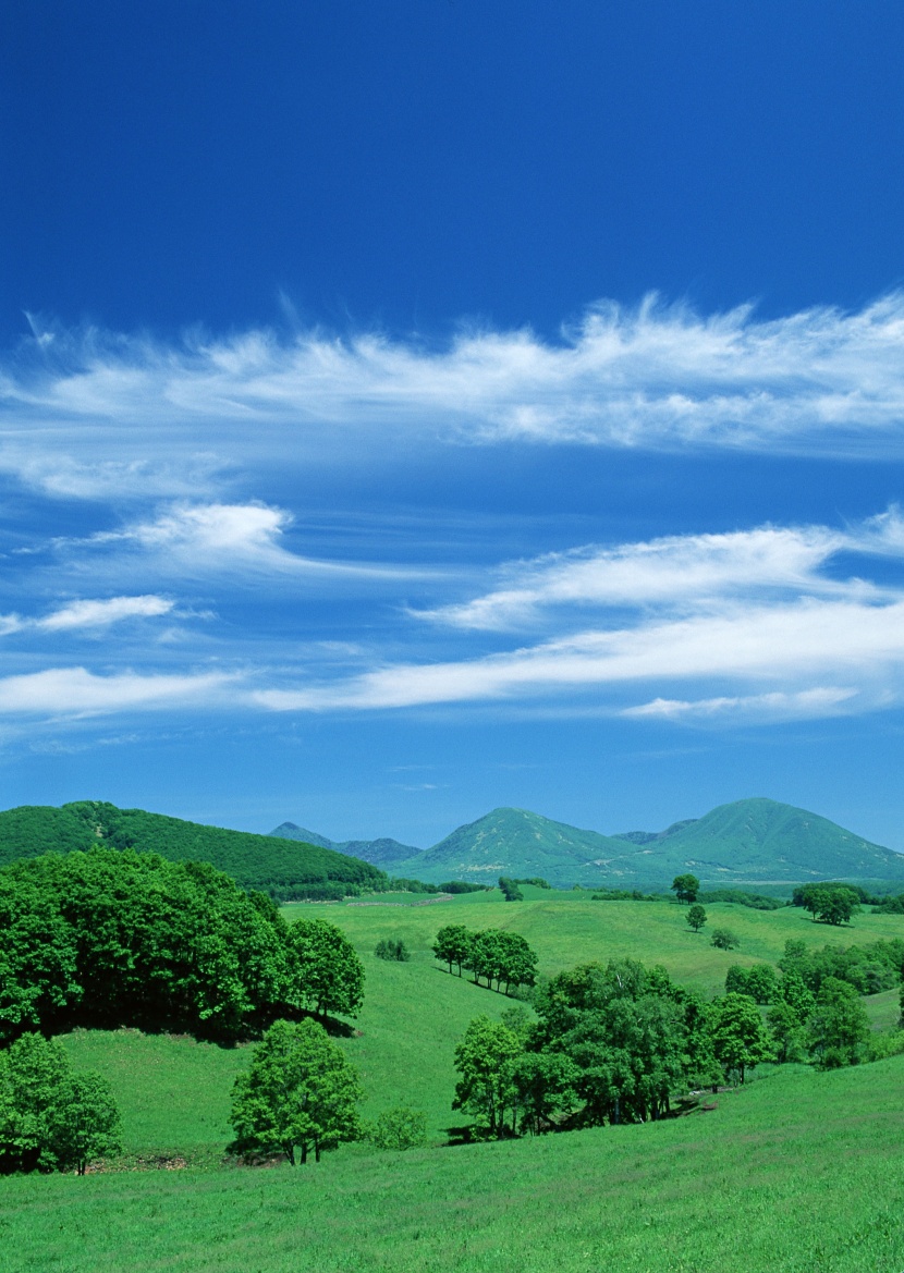 蓝天白云田地图片