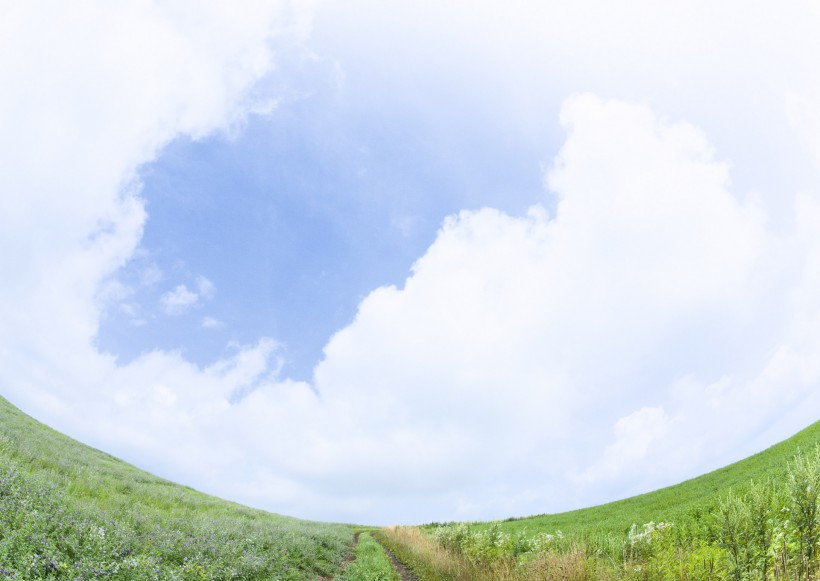 晴朗的天空和草地图片