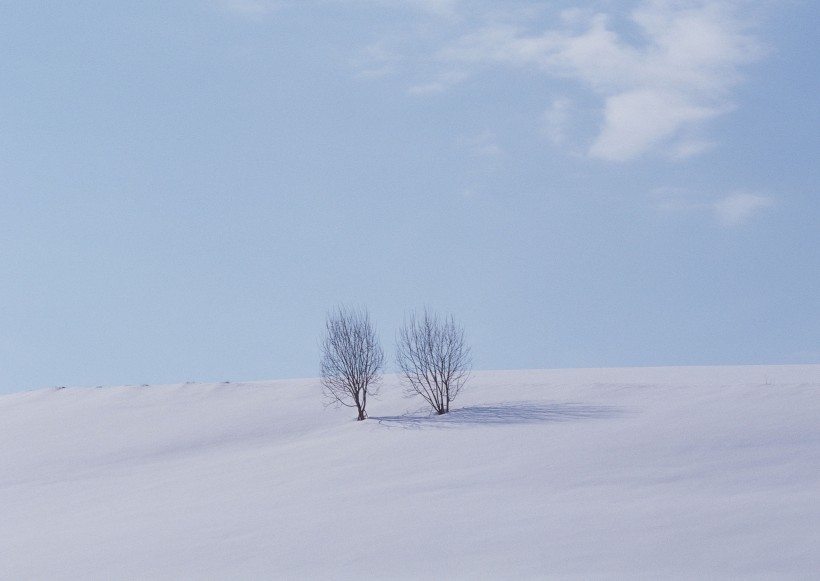 冬天的风景