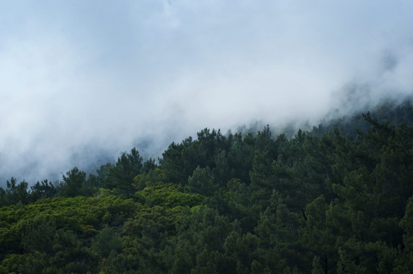 山間薄霧風(fēng)景圖片