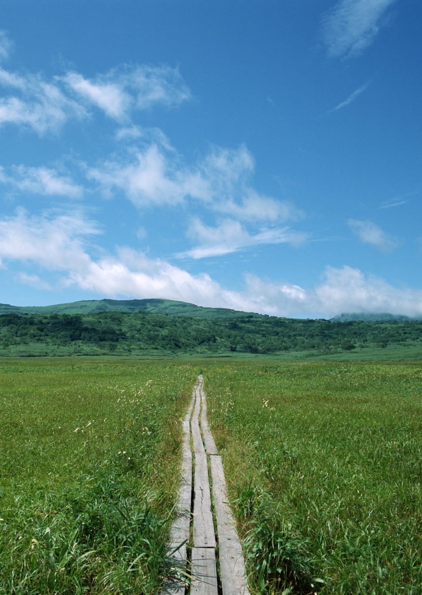 乡间小路