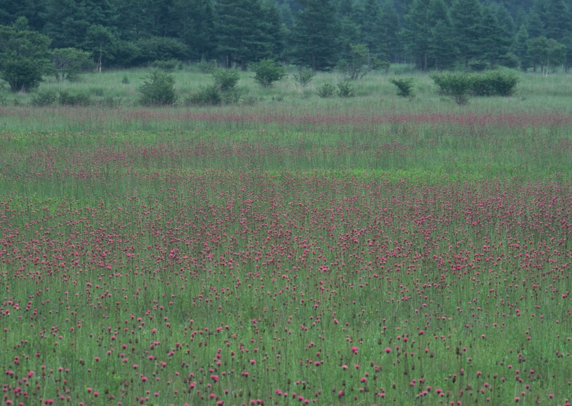 藍天和湖水圖片