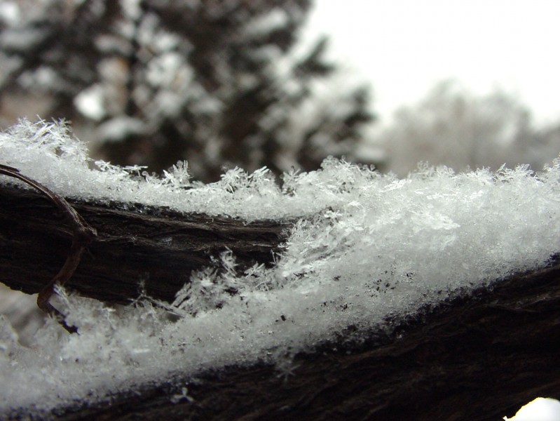 晶莹的雪花图片