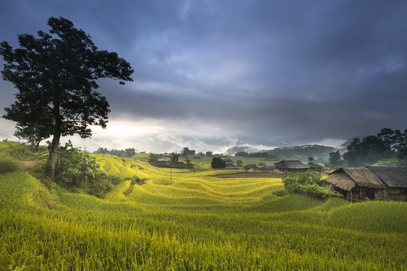 秋季乡村梯田风景图片