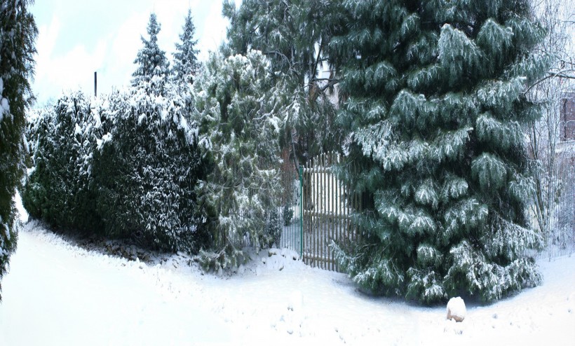 冬日雪景图片