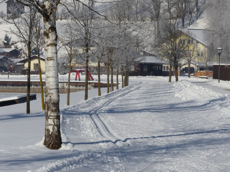 唯美白色雪景圖片