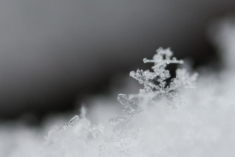 晶莹剔透的雪花图片