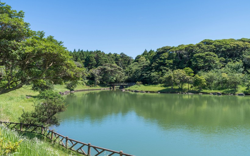 日本種子島圖片