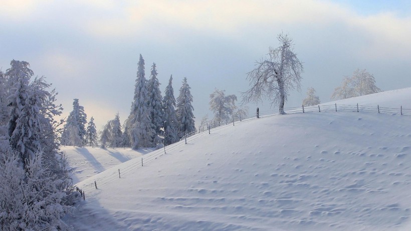 冬日雪景圖片