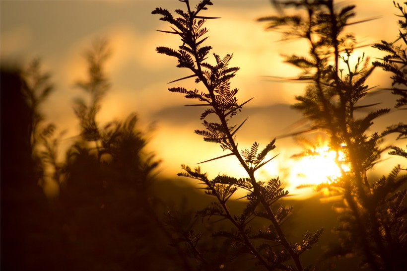 美如画的朝阳与夕阳图片