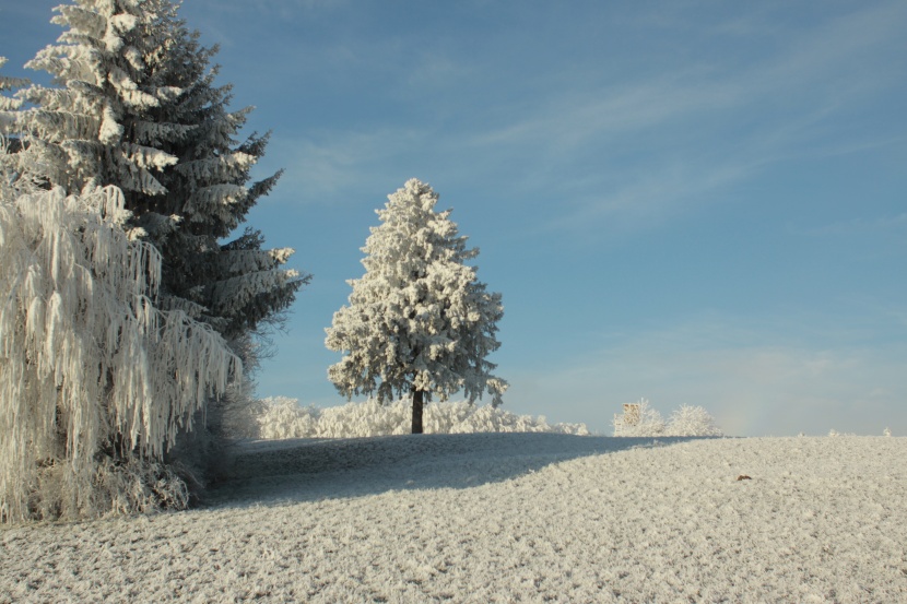 白皚皚的冰雪風(fēng)景圖片