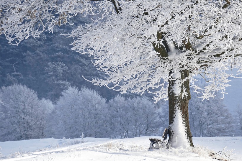 冬季蒼茫的白色雪景圖片