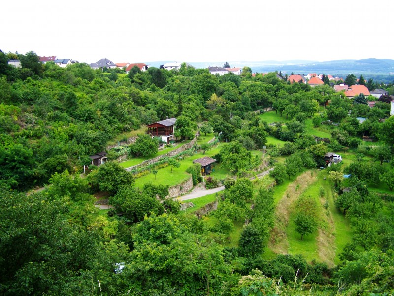 广阔唯美的梯田风景图片