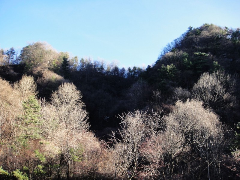 秦岭风景图片