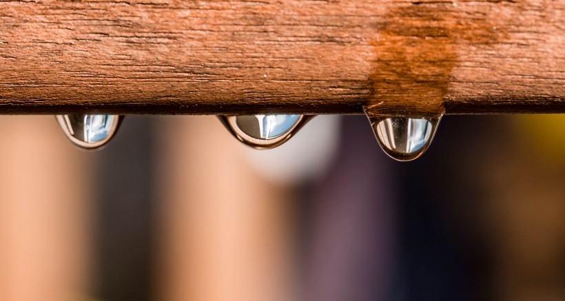 下雨天的雨滴图片