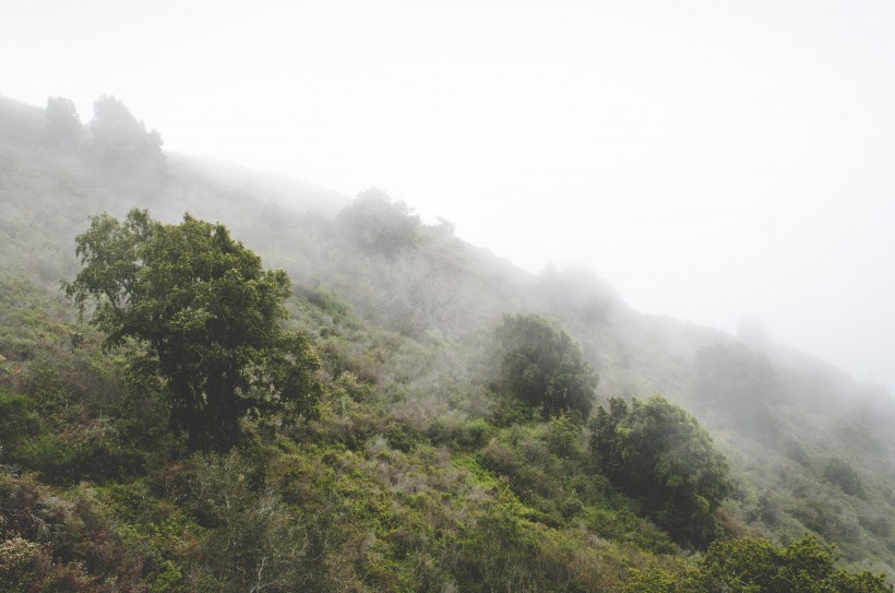 山間薄霧風(fēng)景圖片