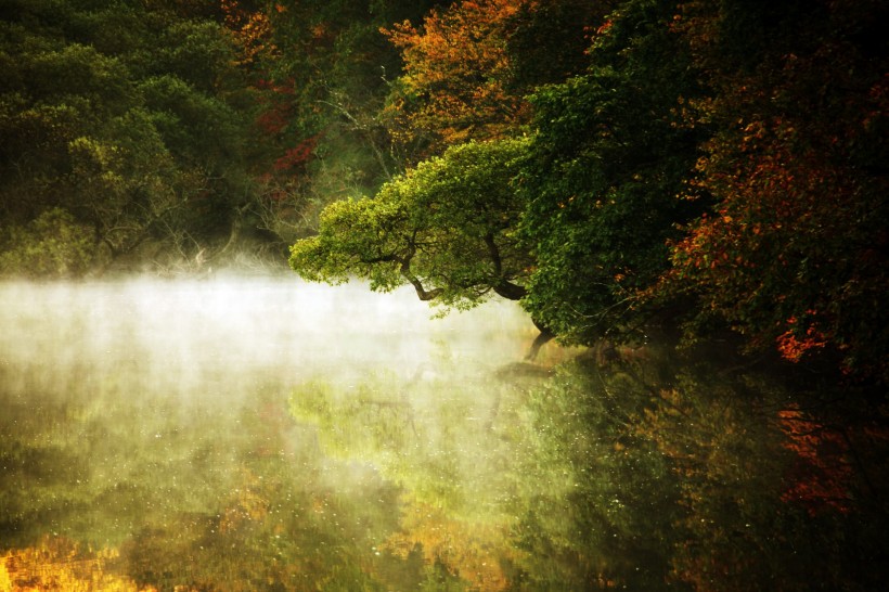 云雾缭绕风景图片